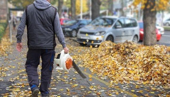 pielęgnacja ogrodów Warszawa